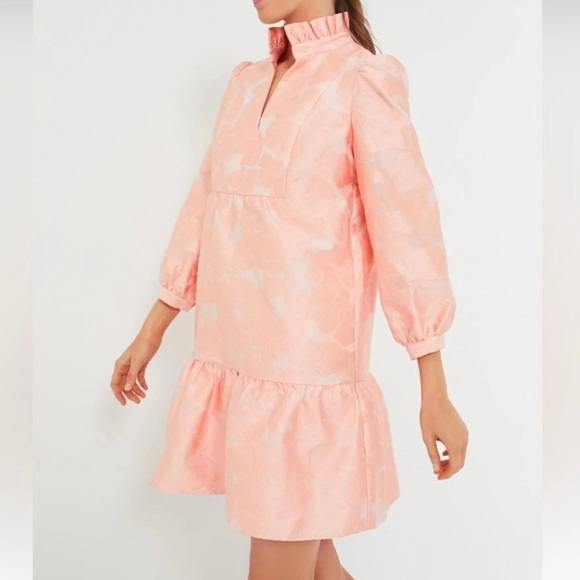Tuckernuck Palmerston Mini Dress-Bellini Fil Coupe-Pink-Womens M & L-NEW-Wedding - Picture 2 of 15